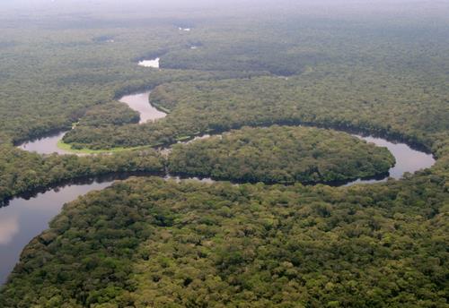 parc national Salonga Republique du Congo